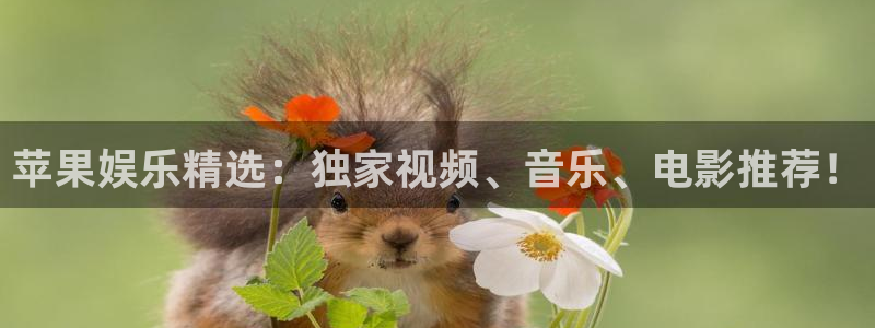 天富平台有梦你就来