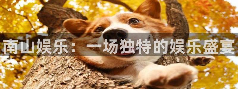 壹号app下载苹果