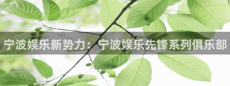 天富平台官网版下载链接
