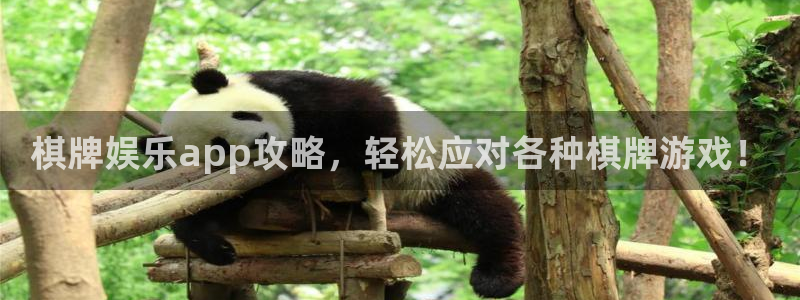天富平台电子游戏网页版