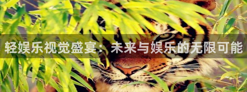 壹号电子娱乐app下载安装