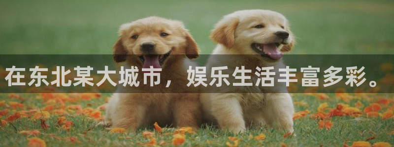 天富平台官方网站
