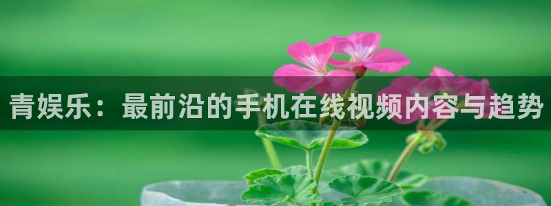 天富平台.ccm官网版