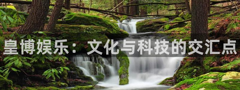 天富平台预测pc在线预测网址