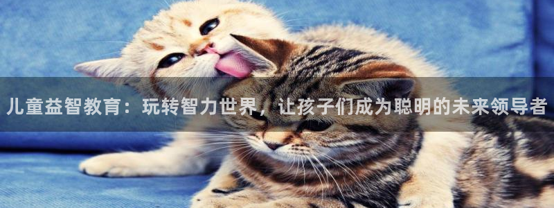 天富平台.ccmpc正版官网版下载