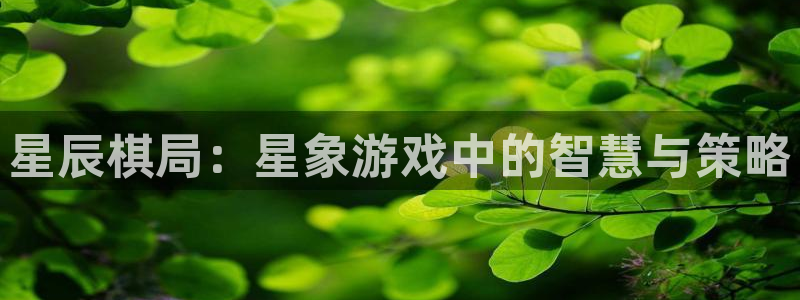 天富平台ccmpc：星辰棋局：星象游戏中的智慧与策略