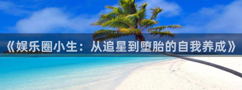 天富平台充值怎么退款：《娱乐圈小生：从追星到堕胎的自我养成》