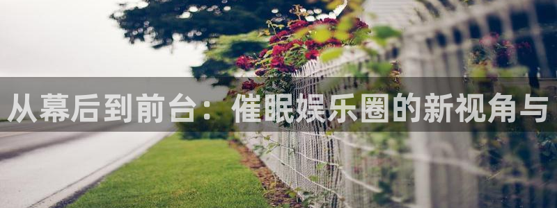天富平台pg：从幕后到前台：催眠娱乐圈的新视角与