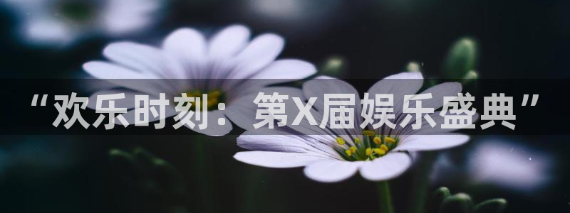 天富平台平台官网版最新：“欢乐时刻：第X届娱乐盛典”