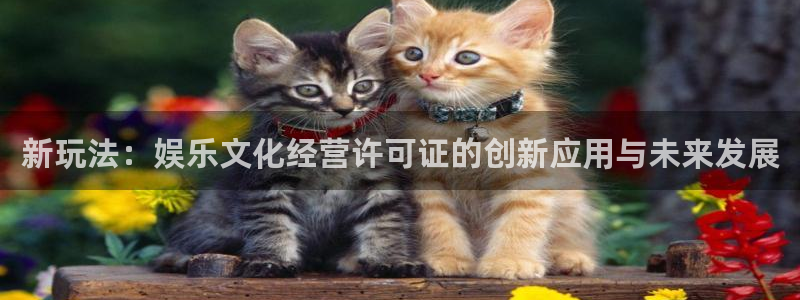 天富平台,apk.1：新玩法：娱乐文化经营许可证的创新应用与未来发展