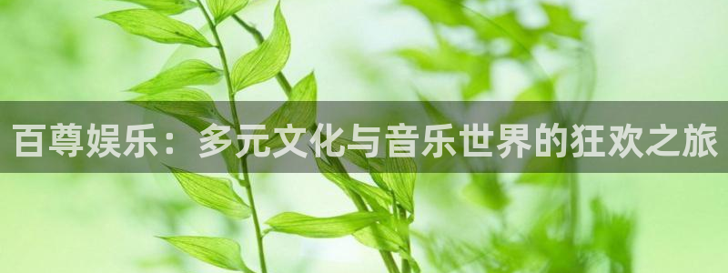天富平台网站平台登录：百尊娱乐：多元文化与音乐世界的狂欢之旅