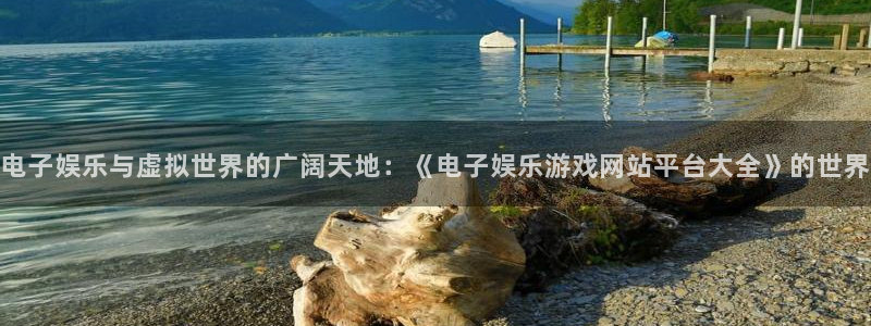 天富平台游app：电子娱乐与虚拟世界的广阔天地：《电子娱乐游戏网站平台大全》的世界