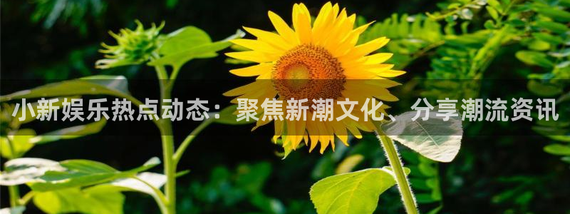 南宫天富平台：小新娱乐热点动态：聚焦新潮文化、分享潮流资讯