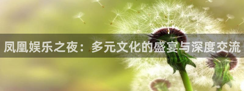 壹号电子娱乐app下载：凤凰娱乐之夜：多元文化的盛宴与深度交流
