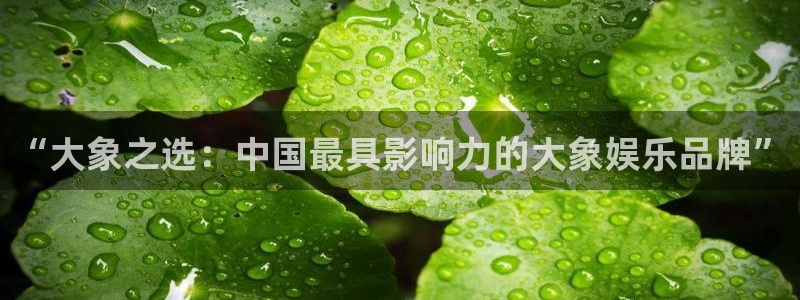 电子游戏天富平台：“大象之选：中国最具影响力的大象娱乐品牌”