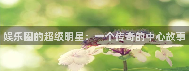 壹号大舞台官网入口：娱乐圈的超级明星：一个传奇的中心故事