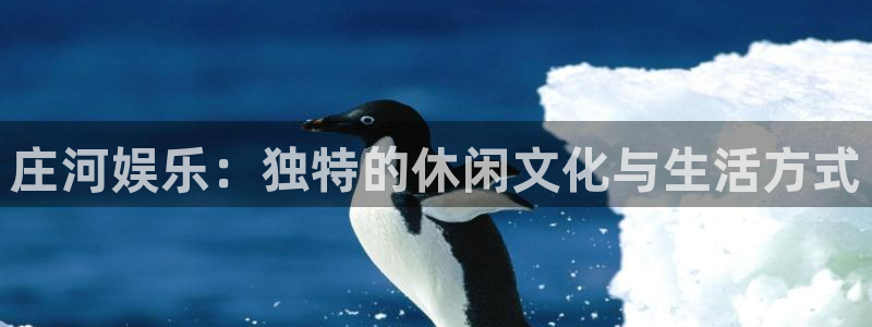天富平台有梦你就来：庄河娱乐：独特的休闲文化与生活方式