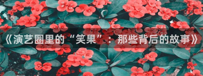 壹号大舞台下载：《演艺圈里的“笑果”：那些背后的故事》