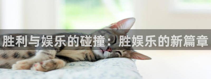 壹号大舞台官网：胜利与娱乐的碰撞：胜娱乐的新篇章