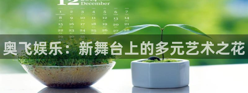 壹号官网app下载安装：奥飞娱乐：新舞台上的多元艺术之花