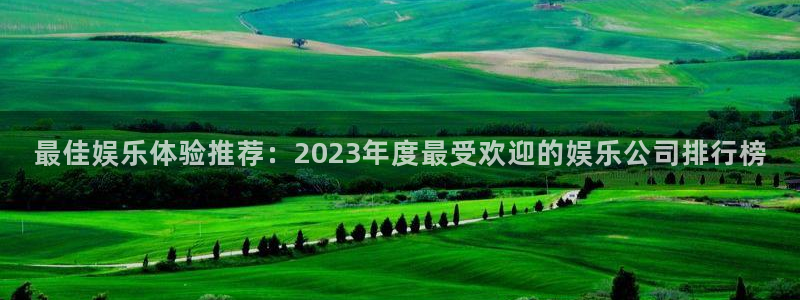 壹号官网app下载安装：最佳娱乐体验推荐：2023年度最受欢迎的娱乐公司排行榜