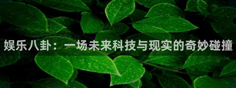 天富平台是正规平台吗：娱乐八卦：一场未来科技与现实的奇妙碰撞